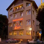 Guest house Pensiunea Ambient 3*
