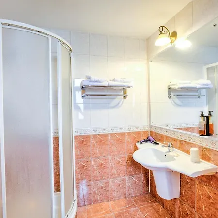 Pensiunea Ambient 3*