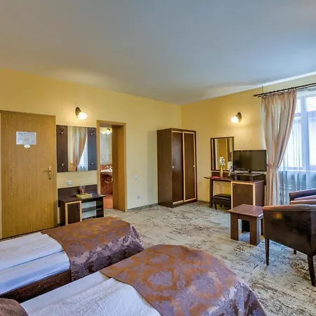 Maison d'hôtes Pensiunea Ambient 3*