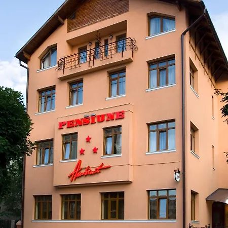 Pensiunea Ambient Konukevi