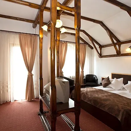 Pensiunea Ambient 3*
