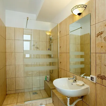 Pensiunea Ambient 3* Braşov