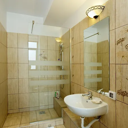 Affittacamere Pensiunea Ambient 3*