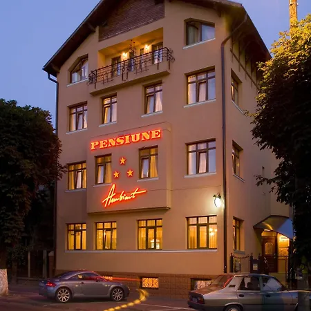 Konukevi Pensiunea Ambient 3*