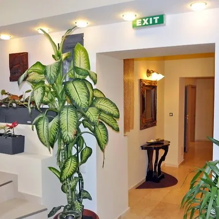 Affittacamere Pensiunea Ambient