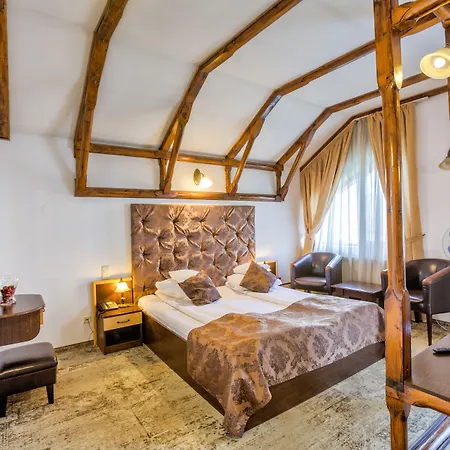 Gasthuis Pensiunea Ambient 3*