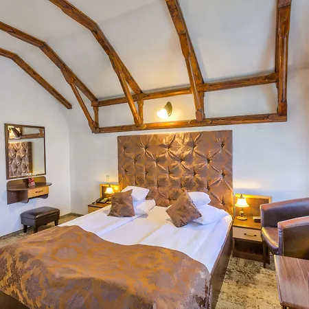 Penzion Pensiunea Ambient