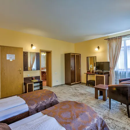 Affittacamere Pensiunea Ambient