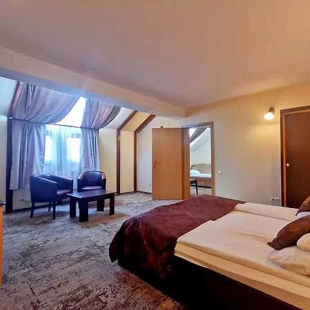 Pensiunea Ambient Gasthuis 3*