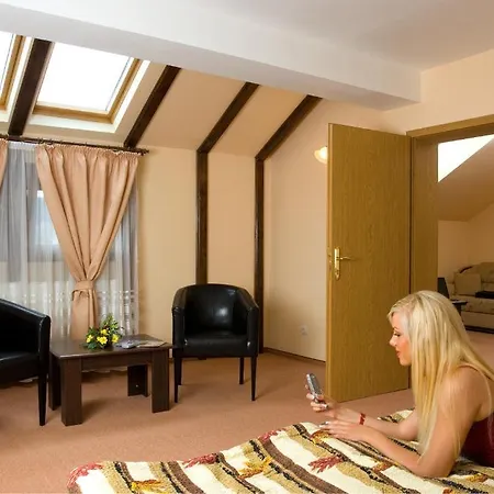 Pensiunea Ambient 3* Brașov