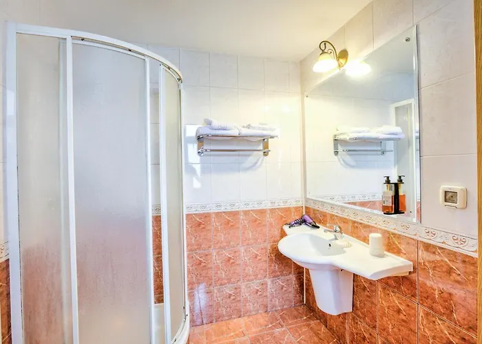 Pensiunea Ambient 3*