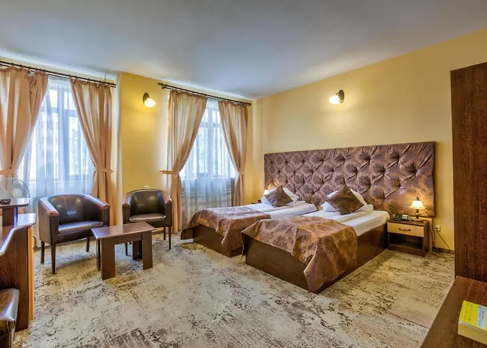 Pensiunea Ambient Affittacamere 3*