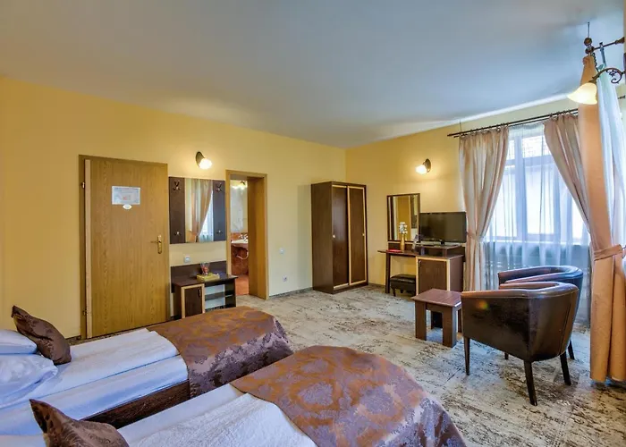 Gasthuis Pensiunea Ambient 3*