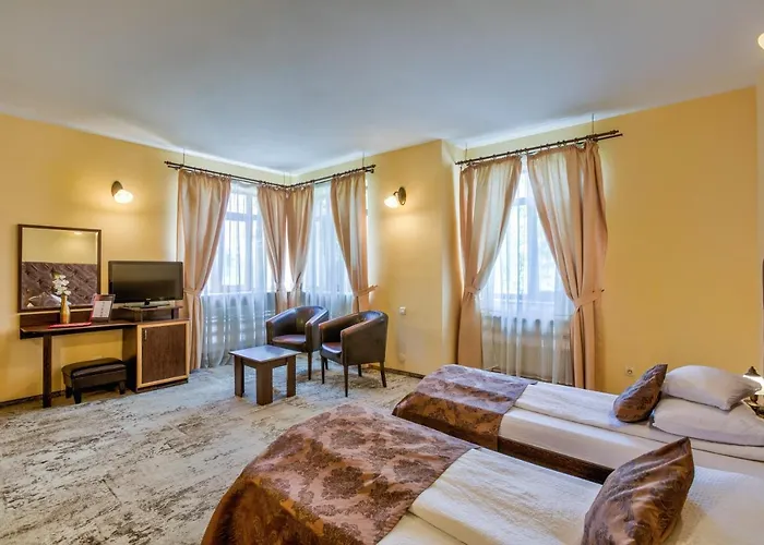 Pensiunea Ambient Guest house 3*