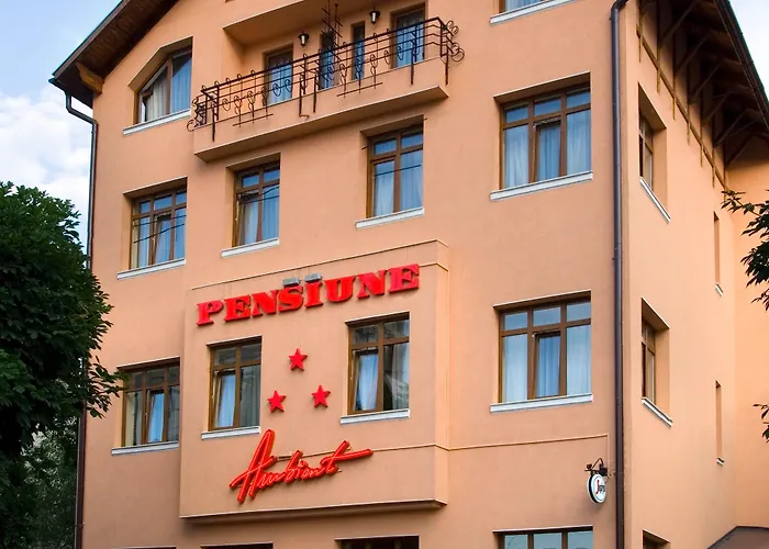 Pensiunea Ambient Guest house