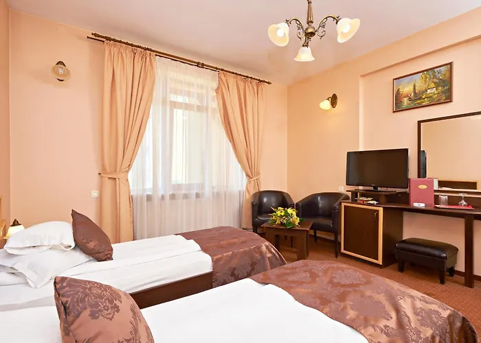 Pensiunea Ambient Guest house