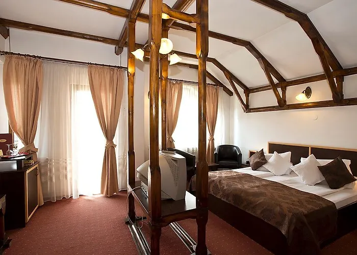 Pensiunea Ambient 3*