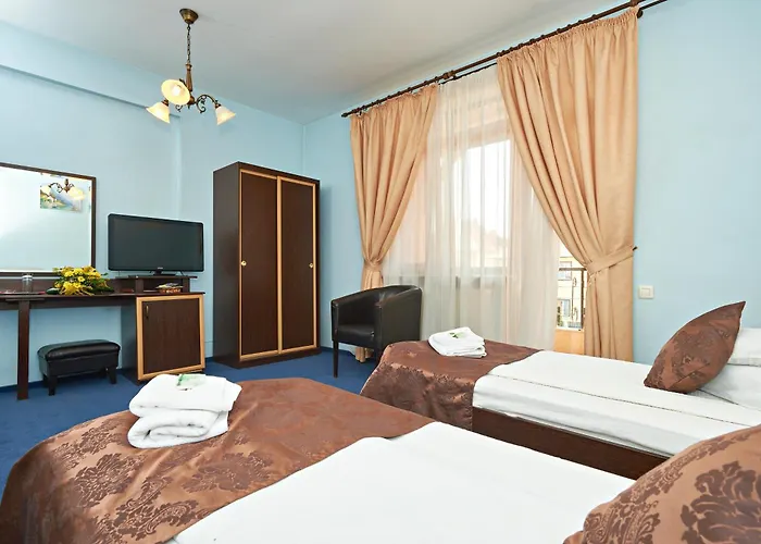 Pensiunea Ambient Guest house