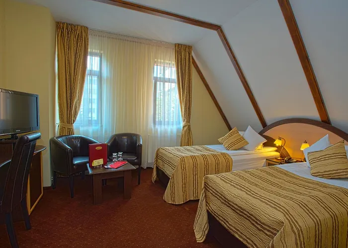 Guest house Pensiunea Ambient 3*