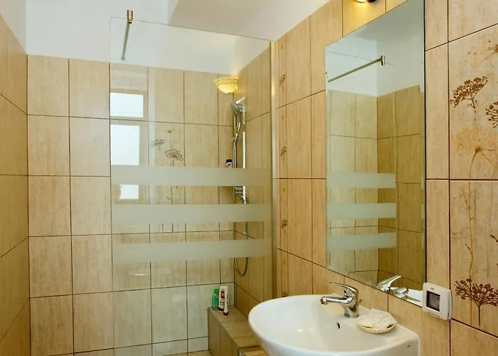 Pensiunea Ambient 3* Braşov