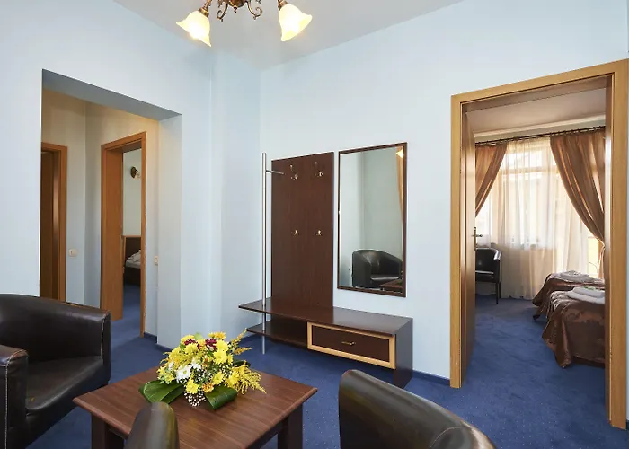 Pensiunea Ambient Guest house