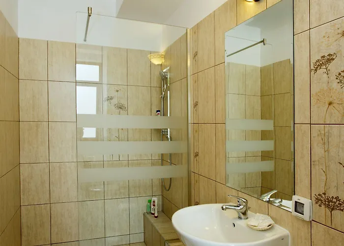 Guest house Pensiunea Ambient 3*