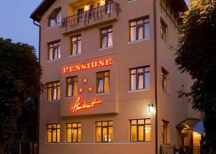 Vendégház Pensiunea Ambient 3*
