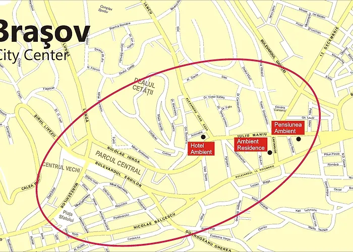 Affittacamere Pensiunea Ambient Braşov