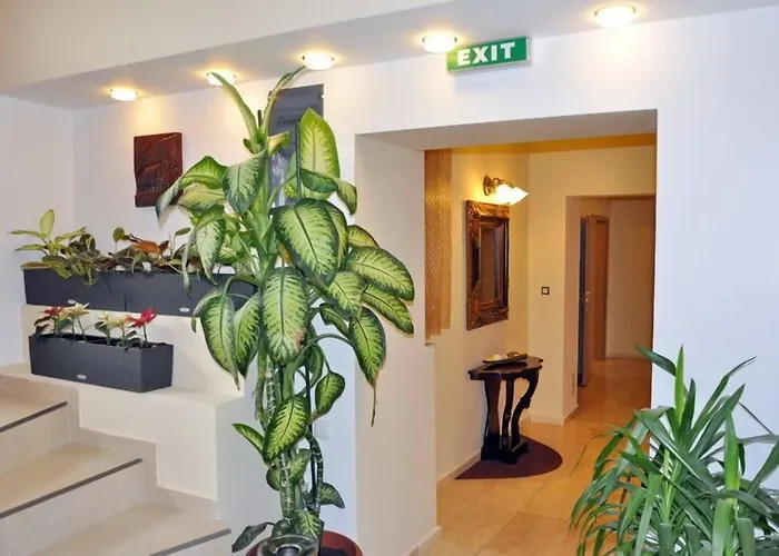 Guest house Pensiunea Ambient