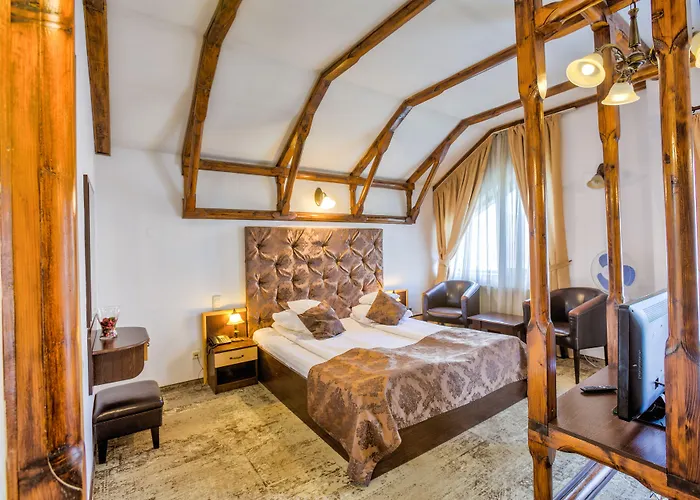 Gasthuis Pensiunea Ambient 3*