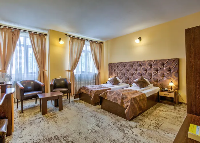 Affittacamere Pensiunea Ambient 3*