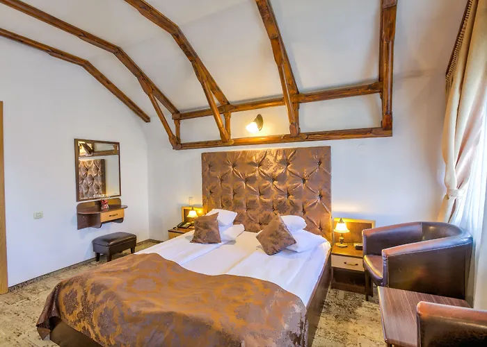 Guest house Pensiunea Ambient