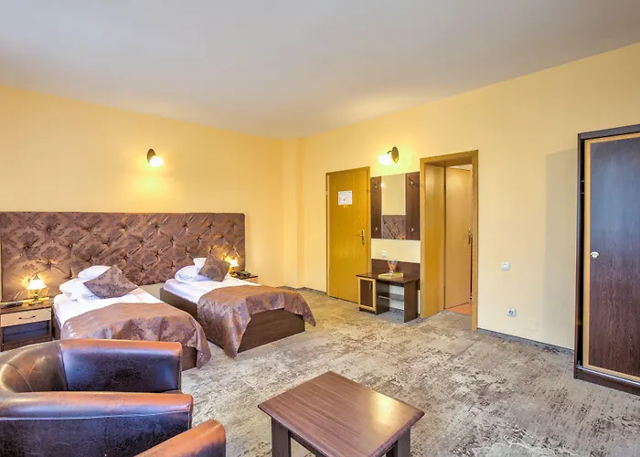 Pensiunea Ambient Guest house Brasov