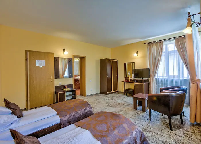 Guest house Pensiunea Ambient