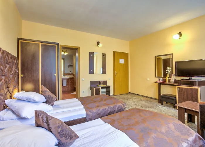 Pensiunea Ambient Guest house