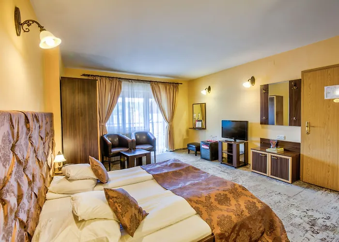 Pensiunea Ambient 3*