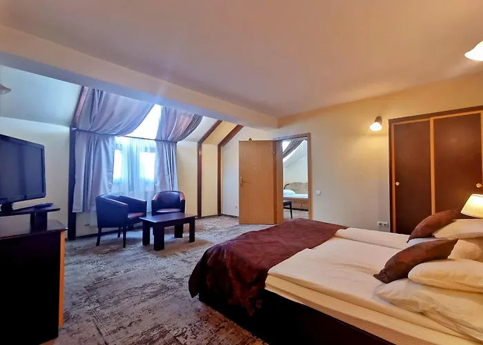 Pensiunea Ambient Vendégház 3*