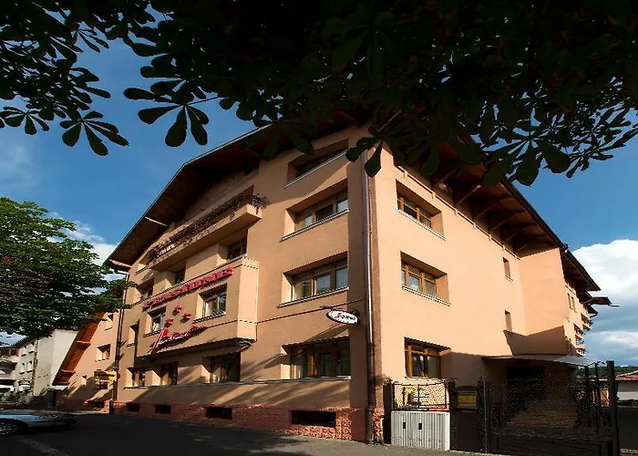 Pensiunea Ambient Guest house 3*