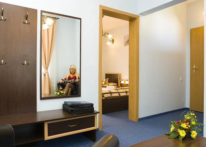 Pensiunea Ambient Guest house Brasov