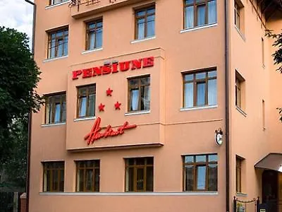 Pensiunea Ambient 3*